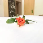 Alpinhotel