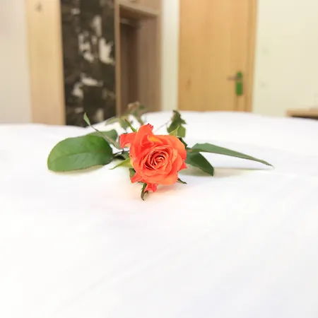 Alpinhotel Hotel Berchtesgaden