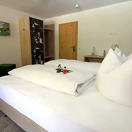 Alpinhotel 3*