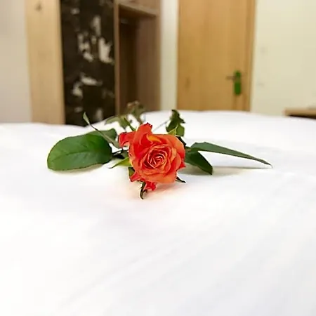 Ξενοδοχείο Alpinhotel 3*