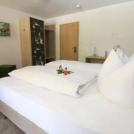 Alpinhotel Отель 3*