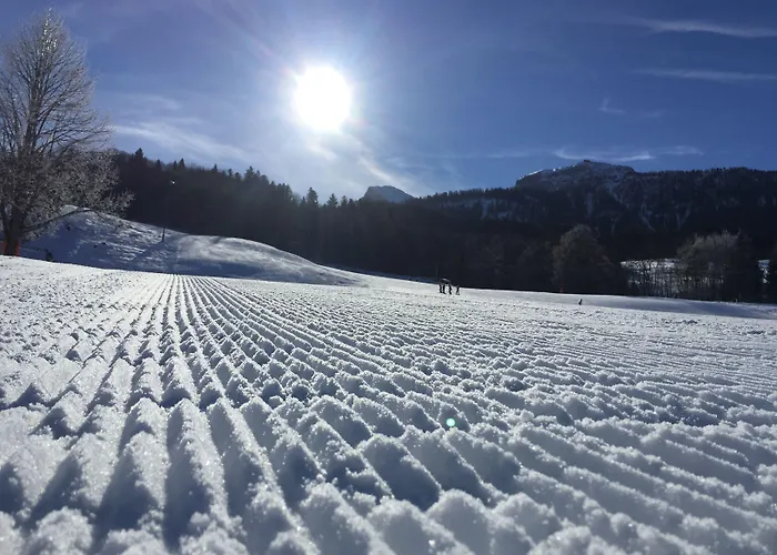Alpinhotel