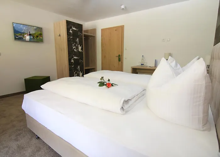 Alpinhotel Отель 3*